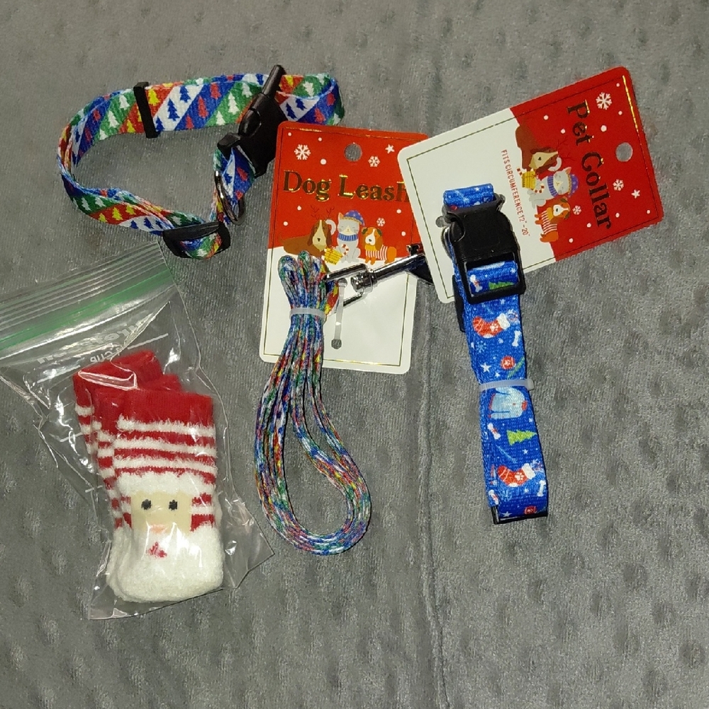 Colorful Dog Accessory Set